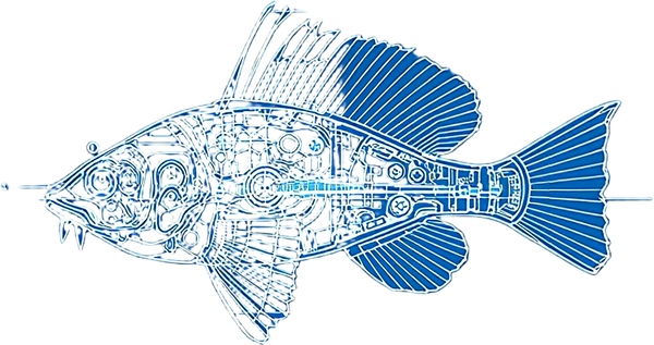 Abyssoluma crystallinus — Plate I — design motif