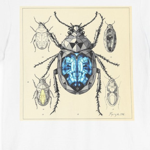 Imaginary Entomology