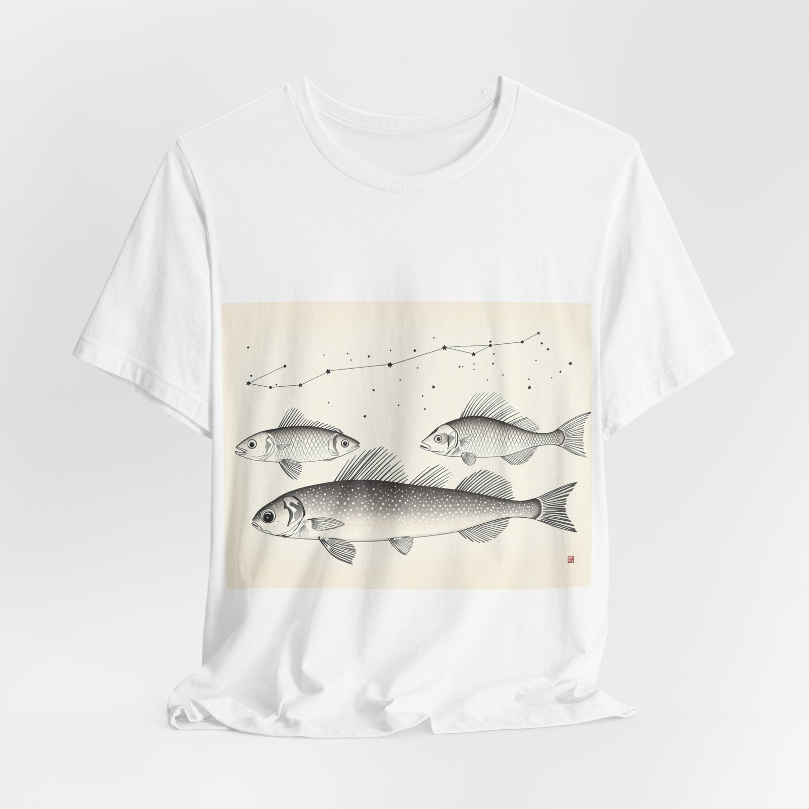 Galaxias phosphoreus — Plate X