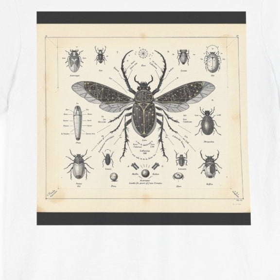 Coleoptera astronomicus — Planche V — design motif