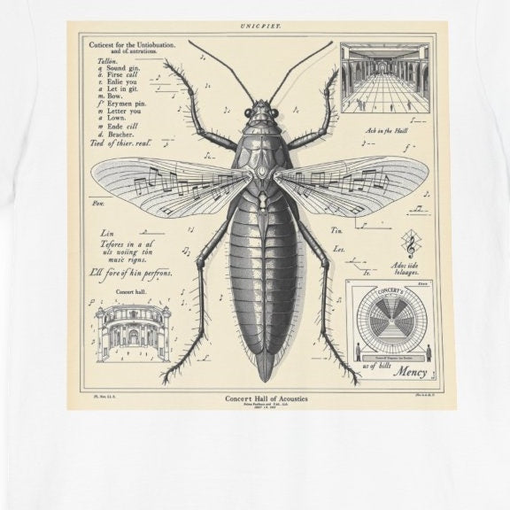 Gryllus melodicus — Planche IX — design motif