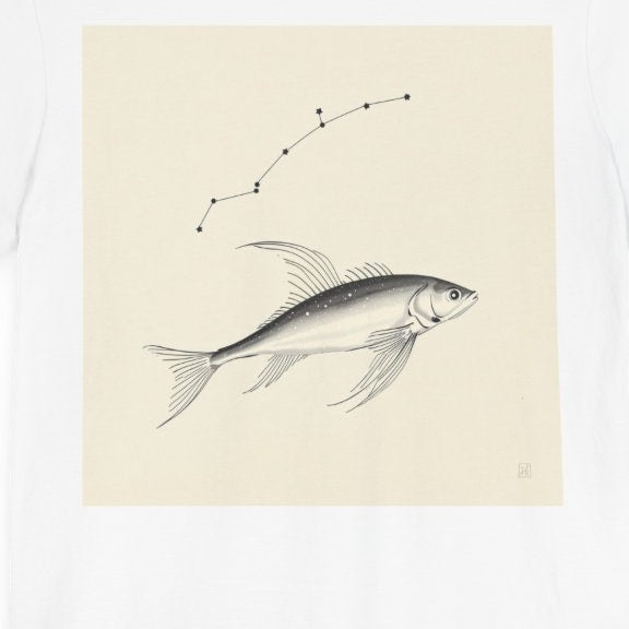 Stellaris luminificus — Plate I — design motif